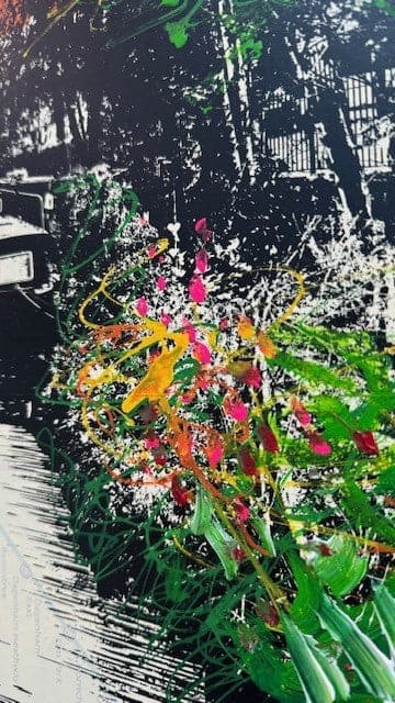 Little Venice, by Jayson Lilley