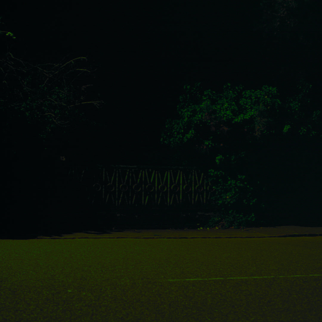 Gate, by Nicholas Winter