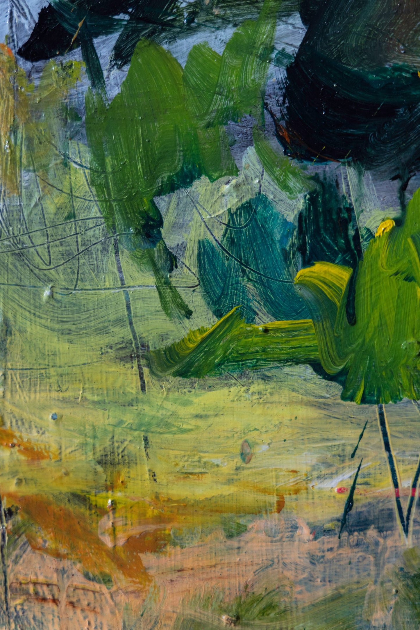 'The Clearing' by Sarah Neale