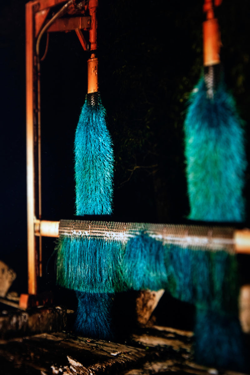 Carwash, Cody Burridge