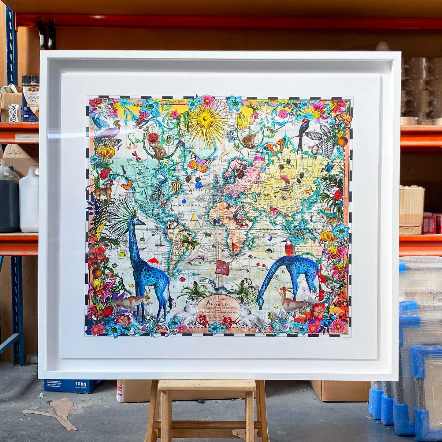 Giraffa Discoveries of the World by Kristjana S Williams