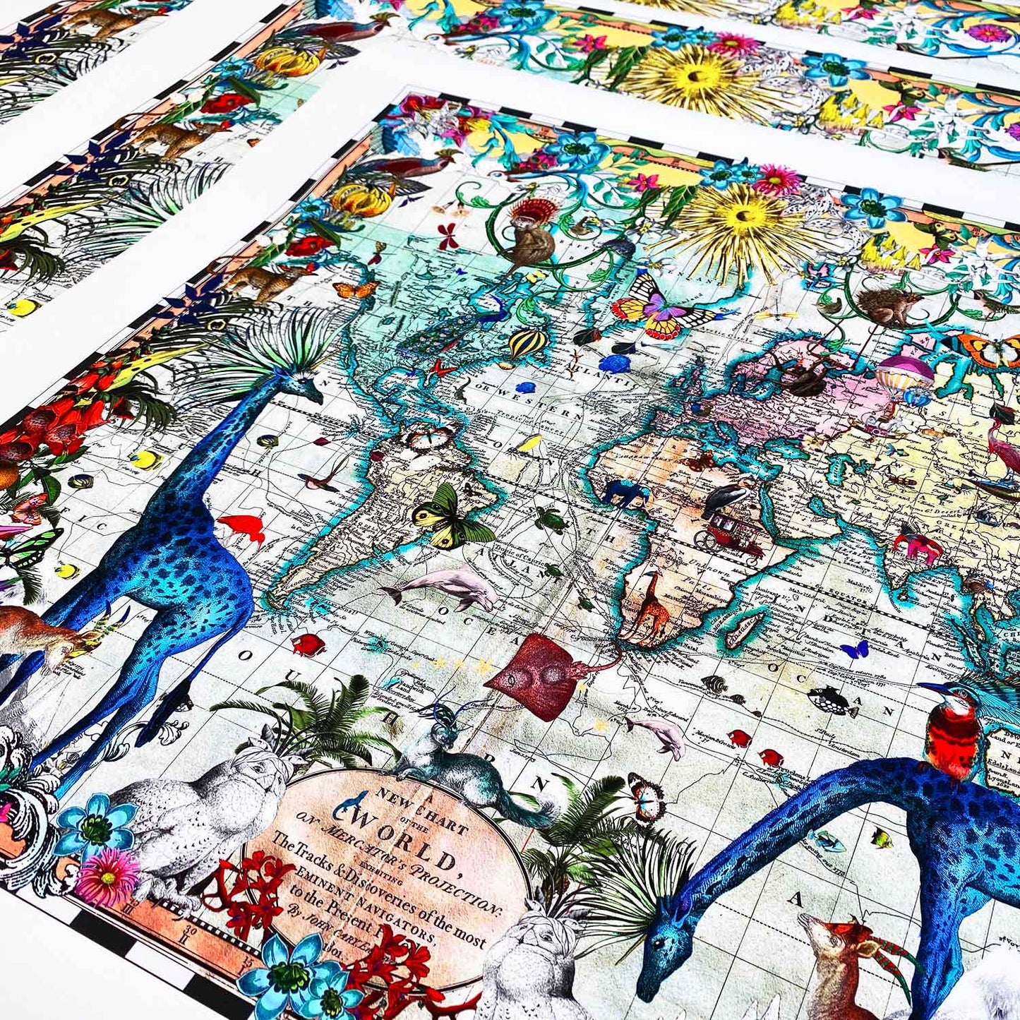 Giraffa Discoveries of the World by Kristjana S Williams