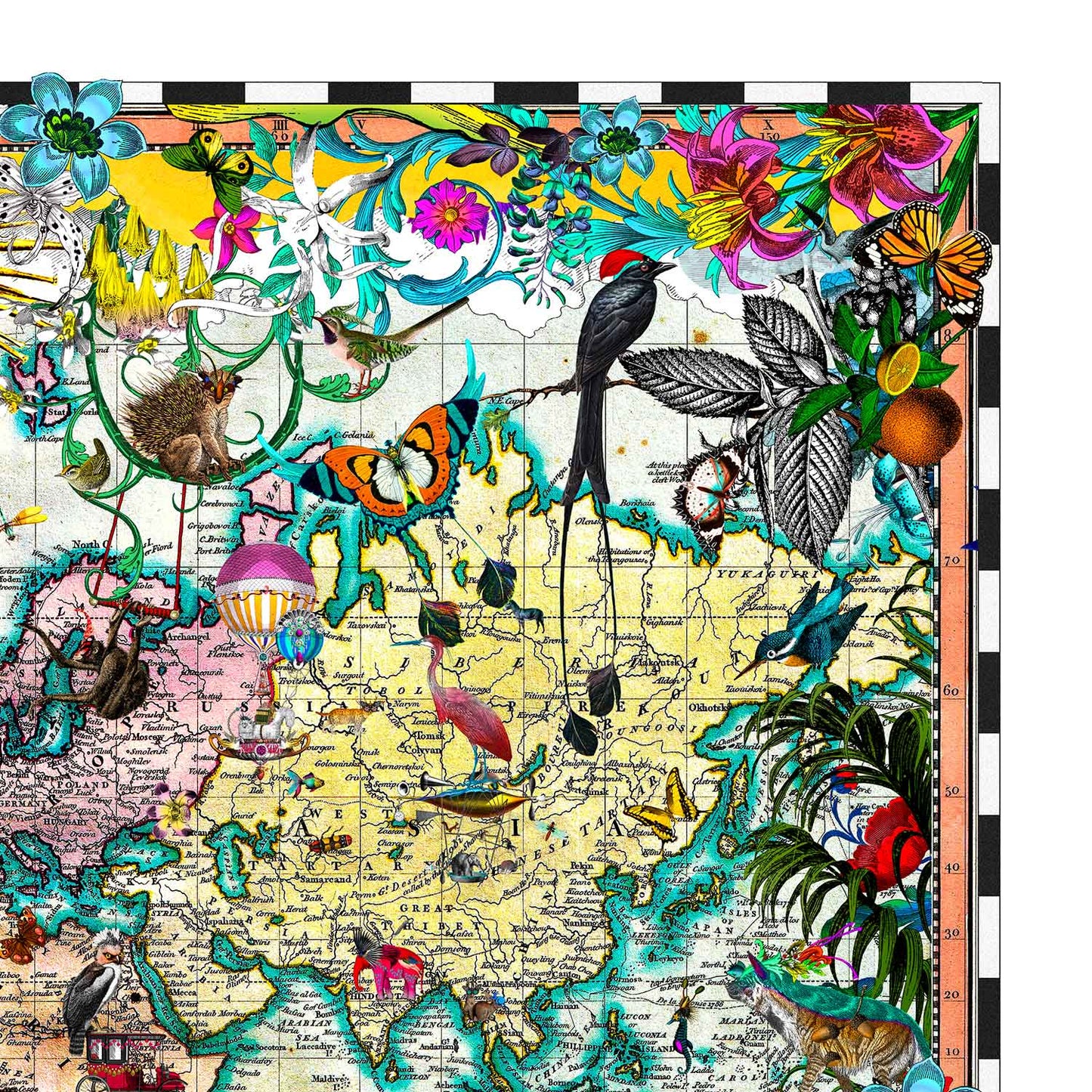 Giraffa Discoveries of the World by Kristjana S Williams