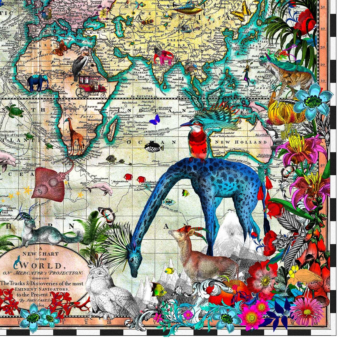 Giraffa Discoveries of the World by Kristjana S Williams