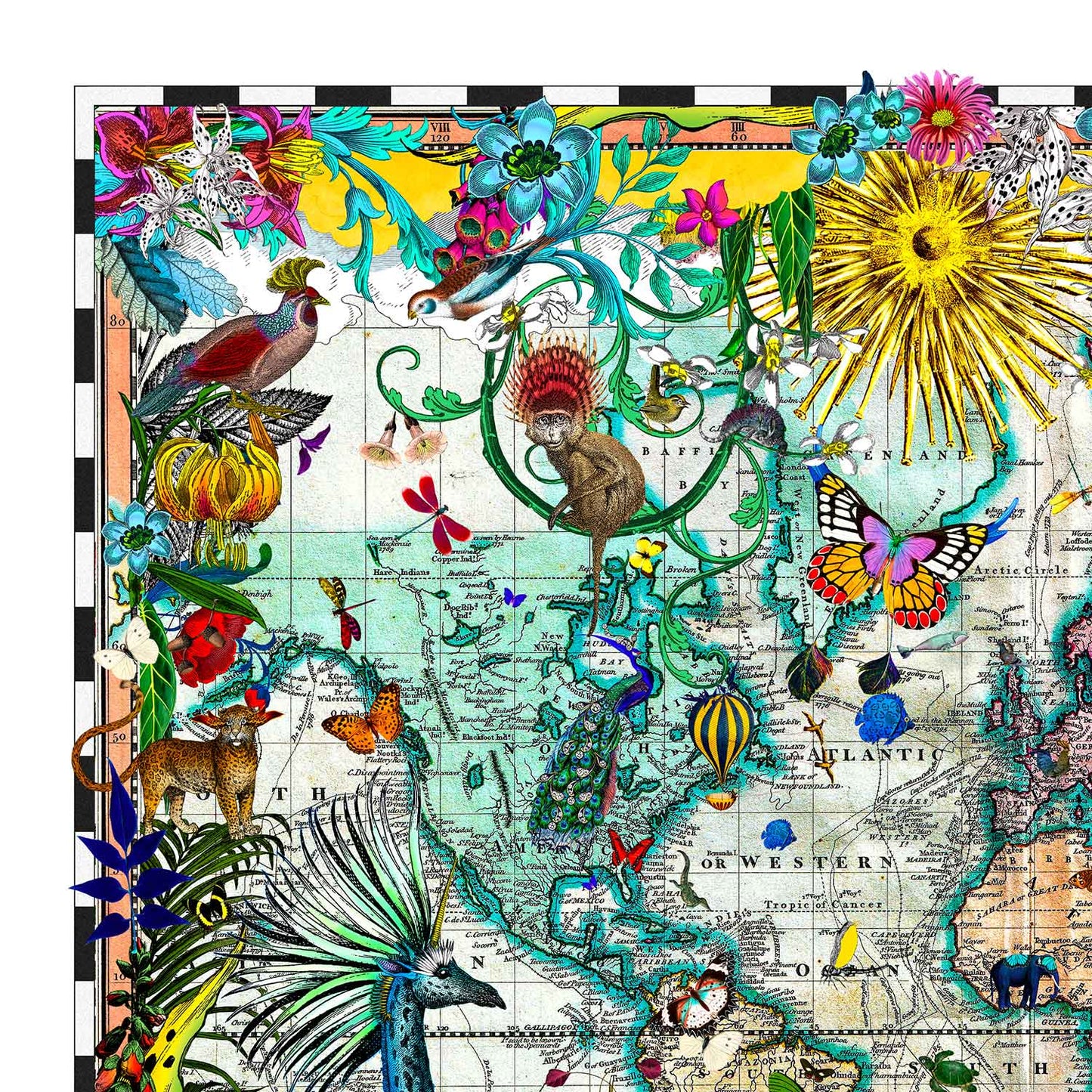 Giraffa Discoveries of the World by Kristjana S Williams