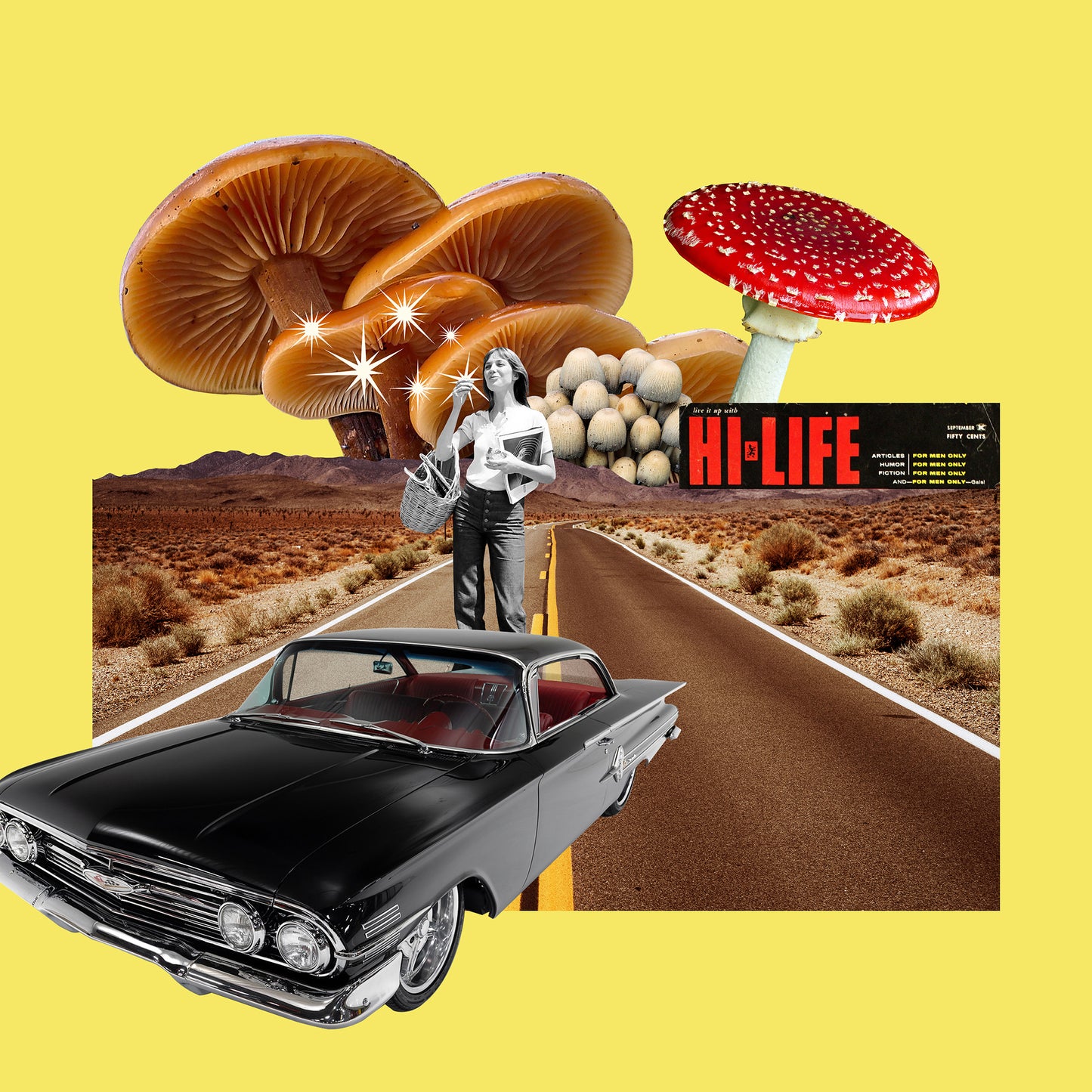 Road Trip # 2, by Phil Bedford