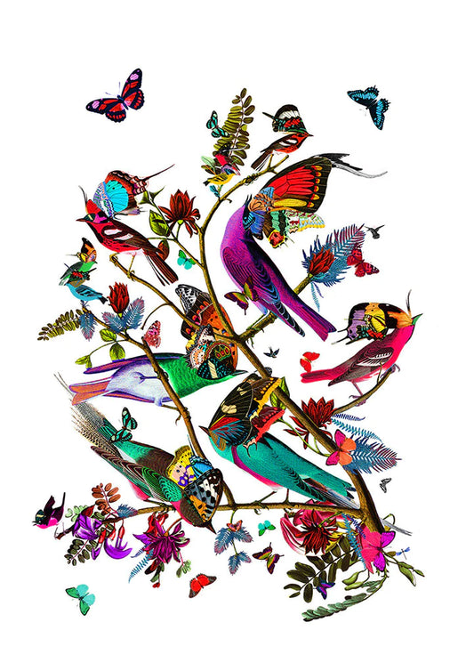 Tolf Fuglar, by Kristjana S Williams