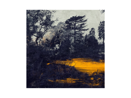 Lake at Kew - Limited Edition, by Nadia Attura