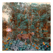 Backwaters Forest, by Nadia Attura