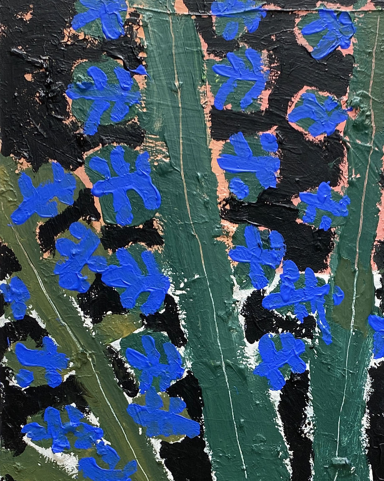 EUCALYPTUS, by Rosa Roberts