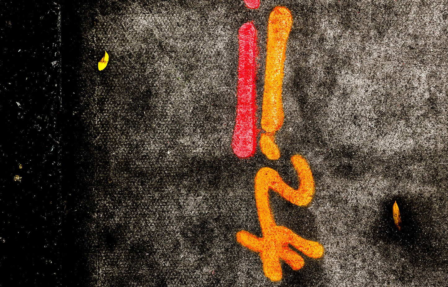 Orange 24,  by Cody Burridge