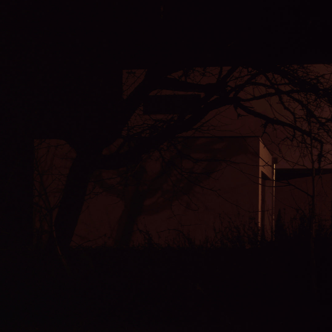 House D, by Nicholas Winter