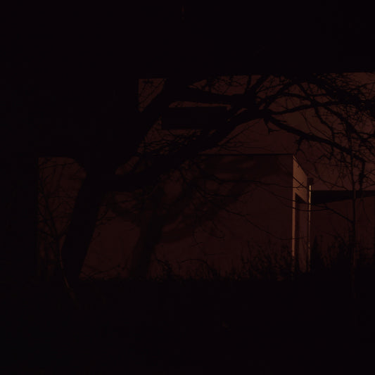 House D, by Nicholas Winter