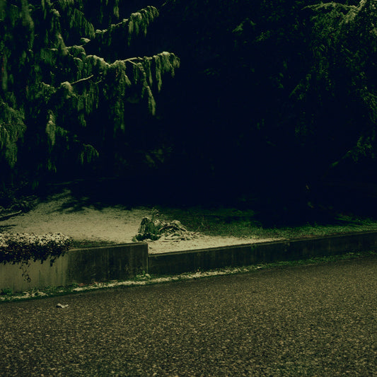 U Curb, by Nicholas Winter