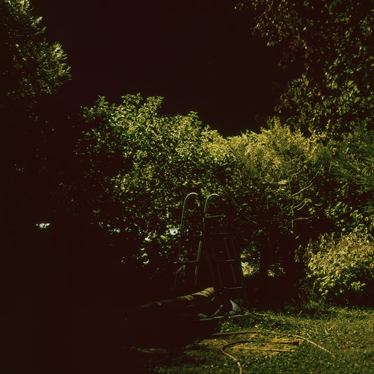 Garden 1, Nicholas Winter