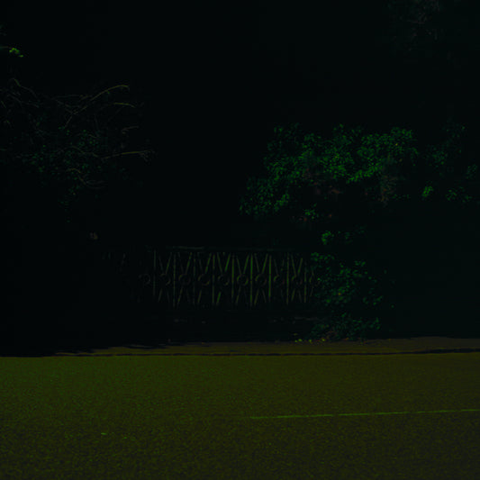 Gate, by Nicholas Winter