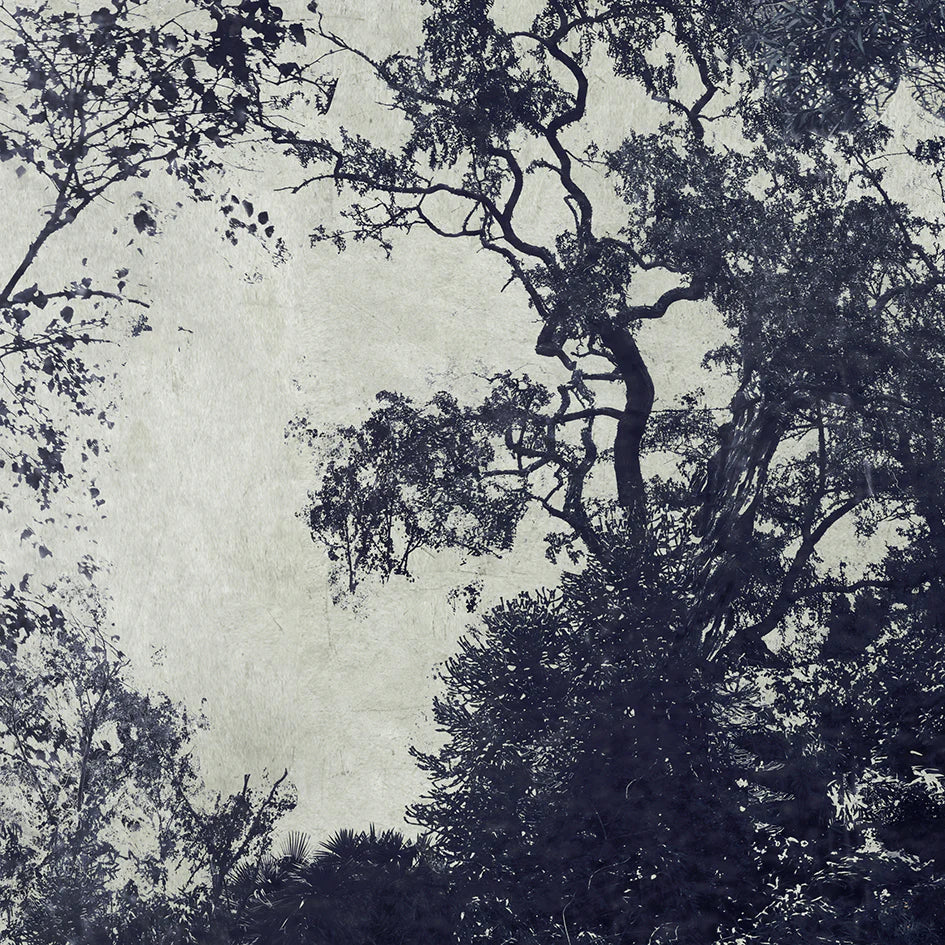 Lake at Kew - Limited Edition, by Nadia Attura