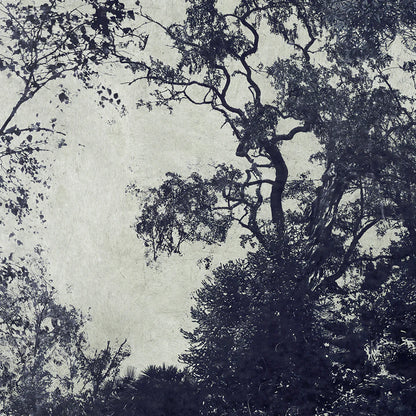 Lake at Kew - Limited Edition, by Nadia Attura