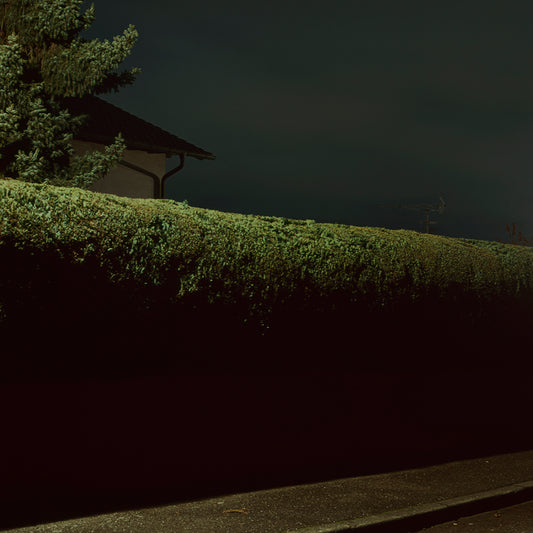 Street 3, by Nicholas Winter