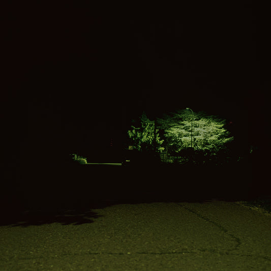 Street 14, by Nicholas Winter