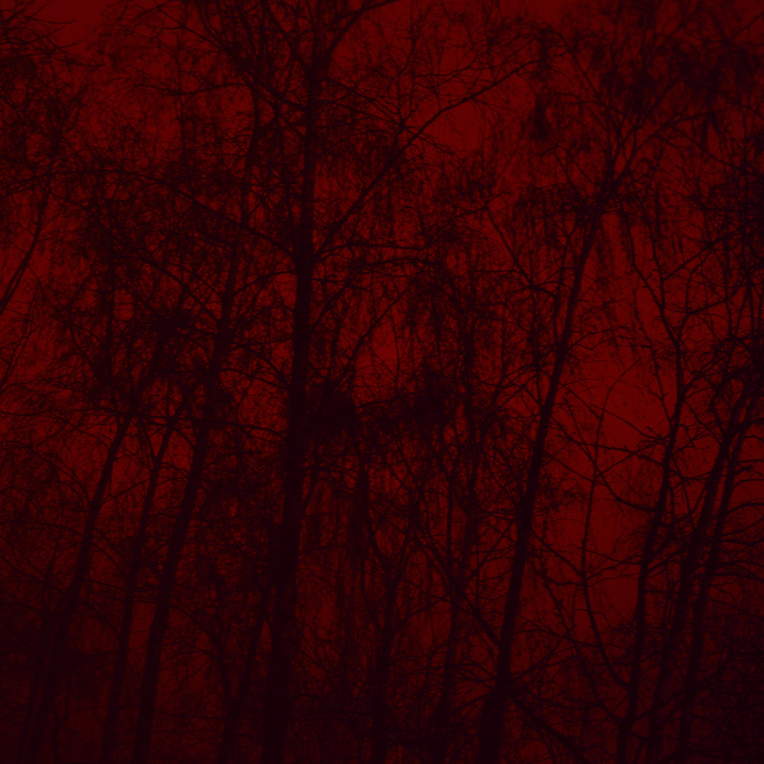 Trees 1, by Nicholas Winter