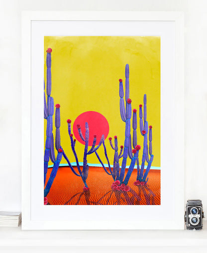 Cactus Sunset, by Nadia Attura