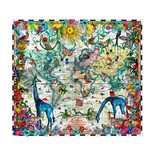 Giraffa Discoveries of the World by Kristjana S Williams