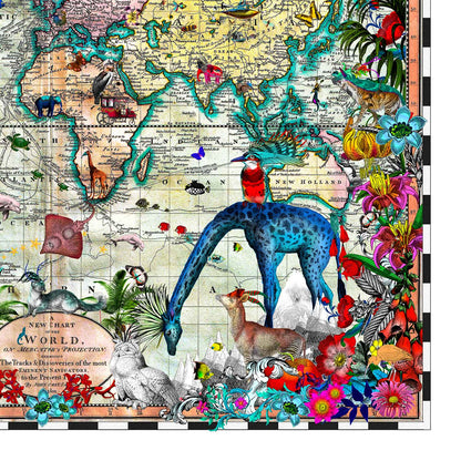 Giraffa Discoveries of the World by Kristjana S Williams