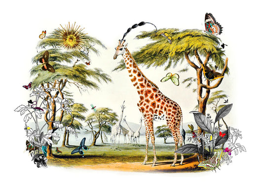 Giraffe Gardur, by Kristjana S Williams