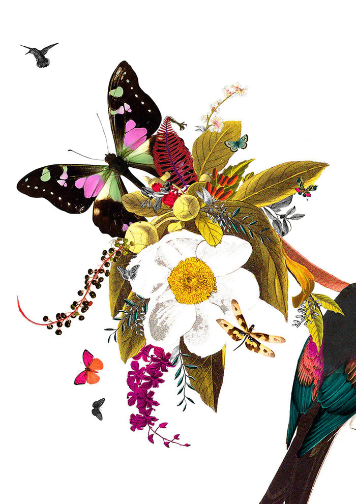 Langi Tagl Audubon, by Kristjana S Williams